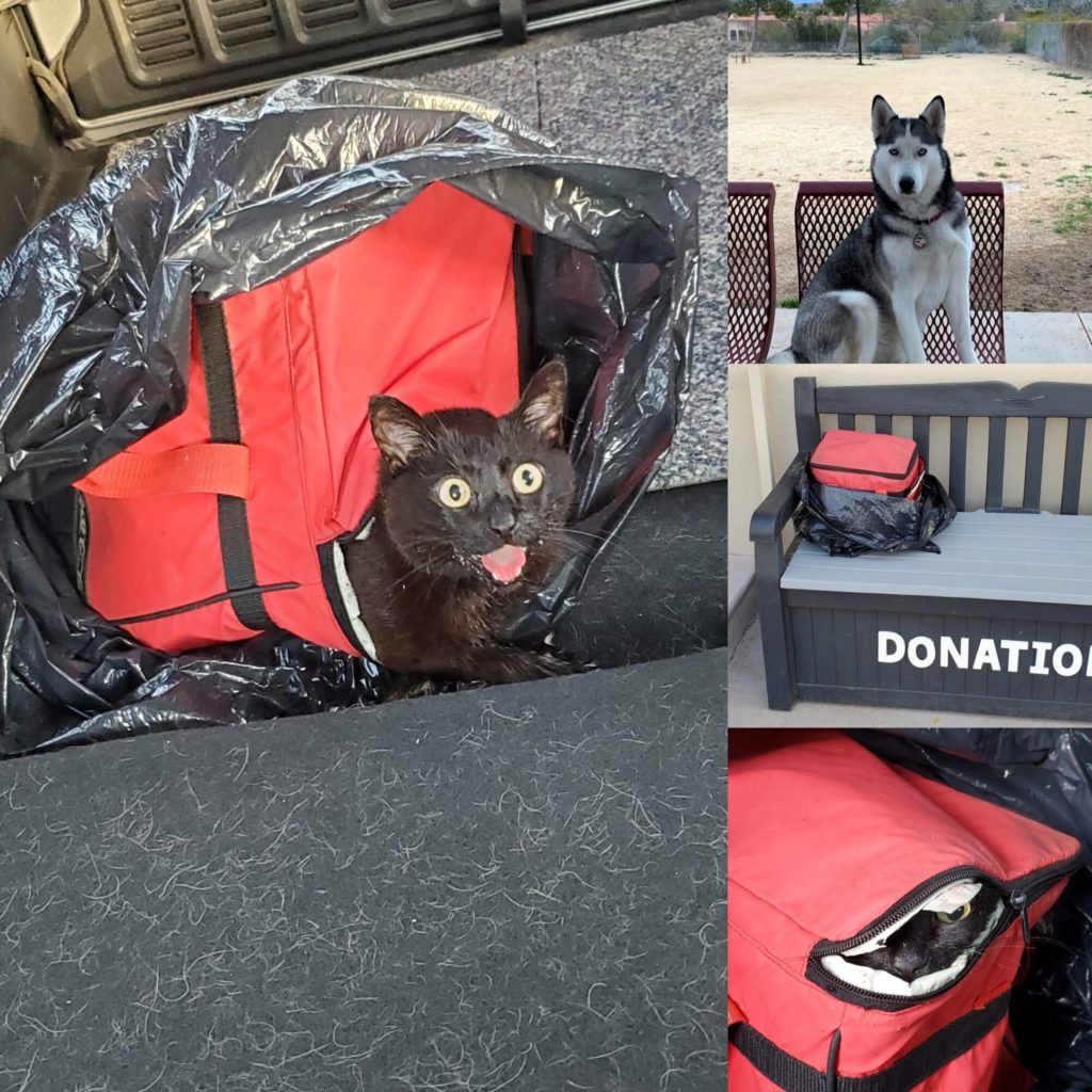Cat Rescue
